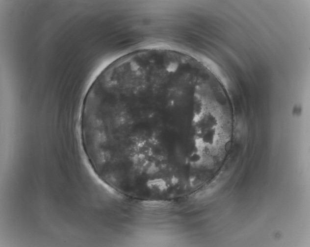 X0000097620863200803142000
