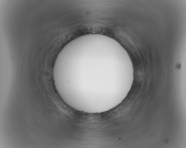 X0000097620865200803142000