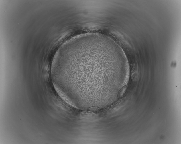 X0000097620866200803142000