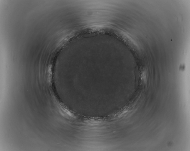X0000097620868200803142000
