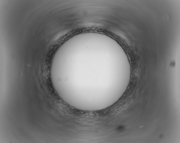 X0000097620869200803142000