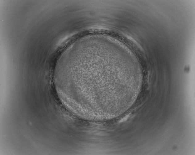 X0000097620870200803142000