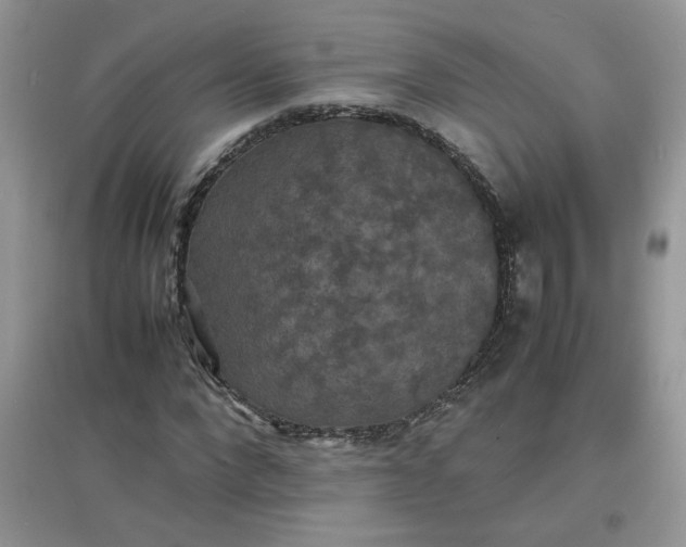 X0000097620872200803142000