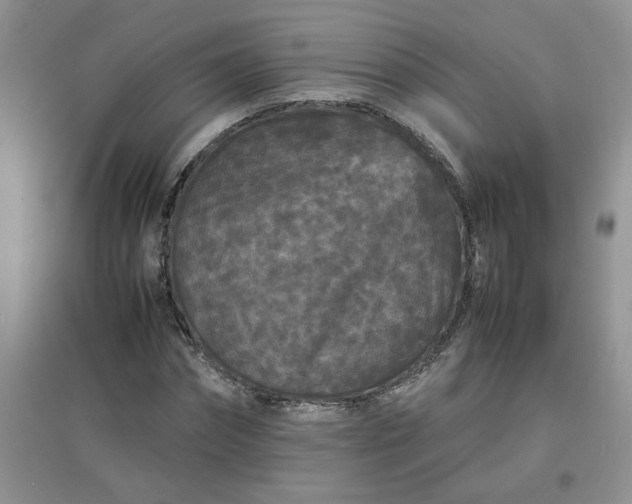 X0000097620874200803142000