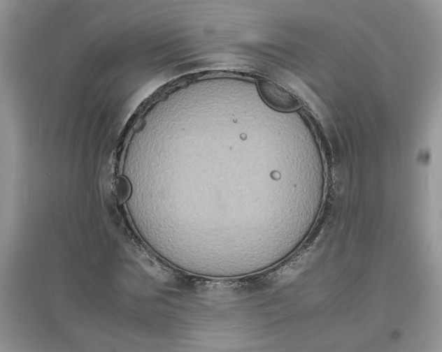 X0000097620875200803142000