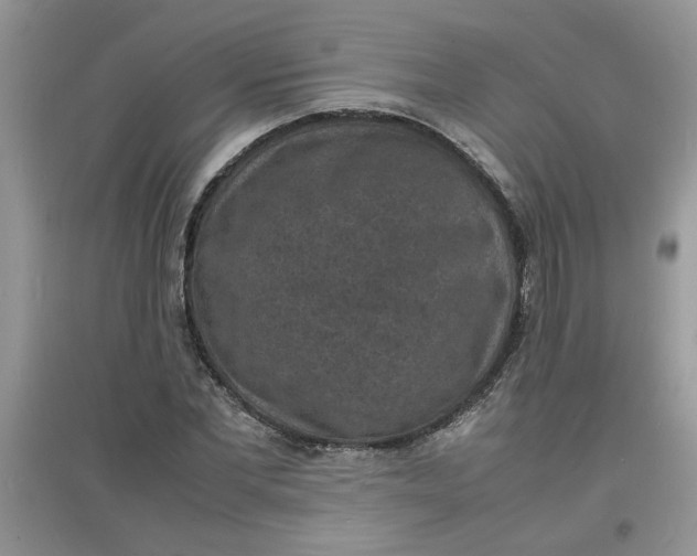 X0000097620877200803142000