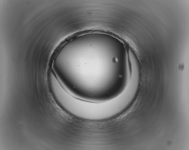 X0000097620880200803141959
