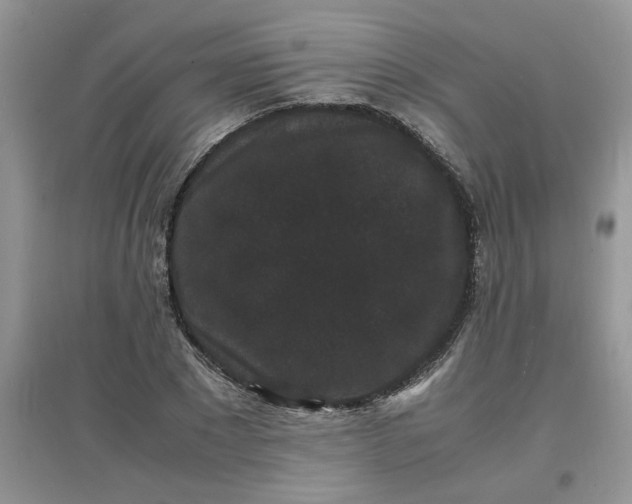 X0000097620881200803141959