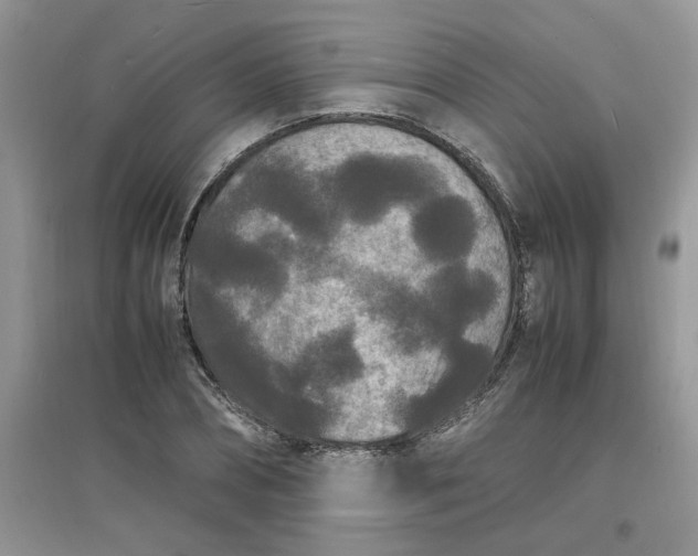 X0000097620882200803141959
