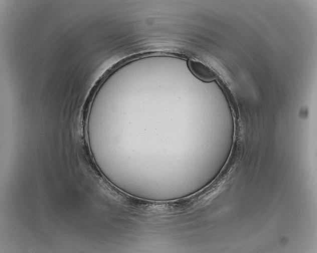 X0000097620883200803141959