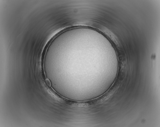 X0000097620884200803141959