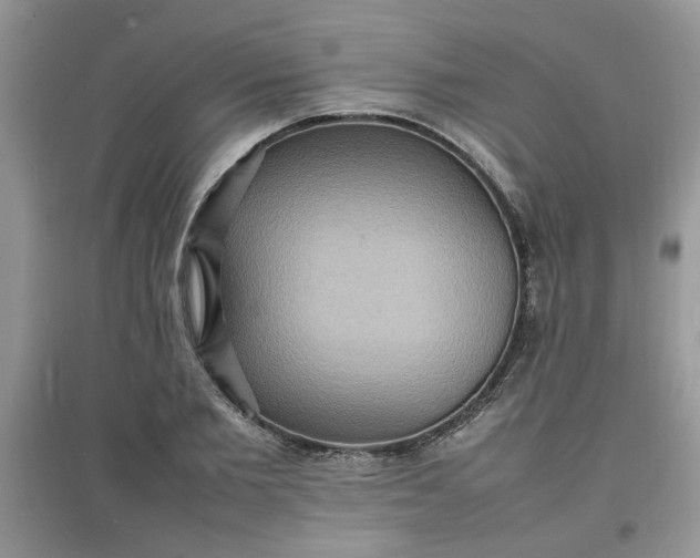 X0000097620885200803141959