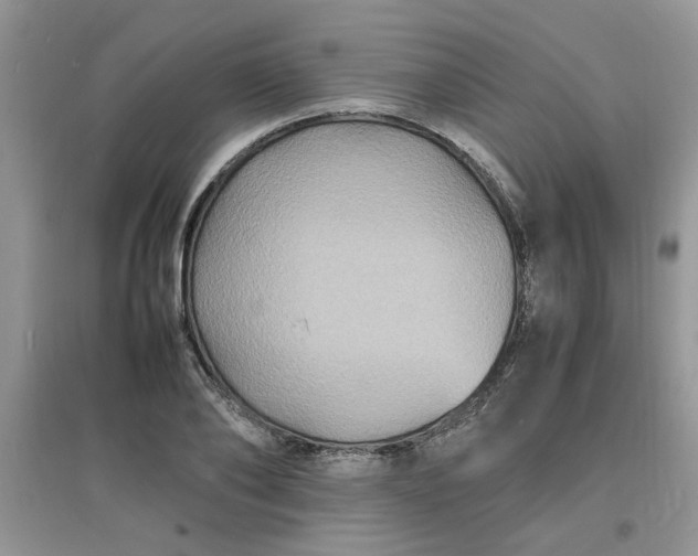 X0000097620886200803141959