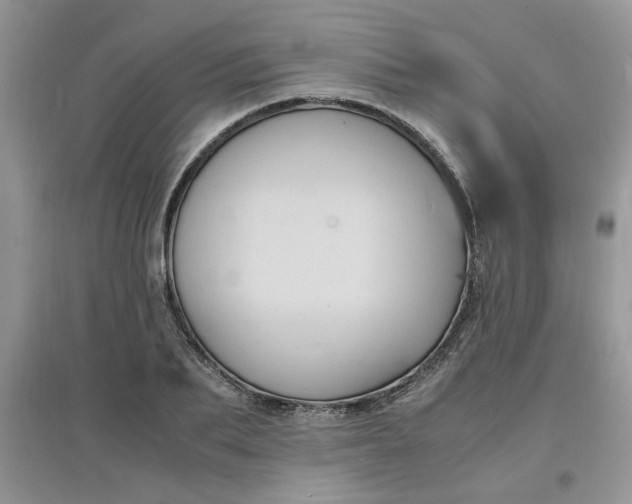X0000097620887200803141959