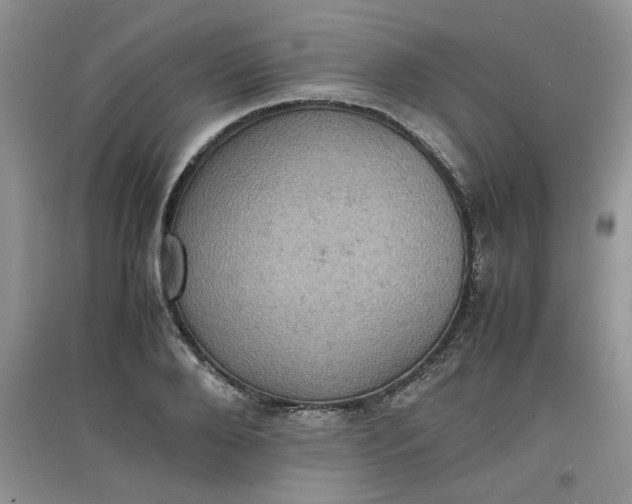 X0000097620888200803141959