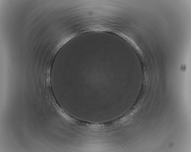 X0000097620889200803141959