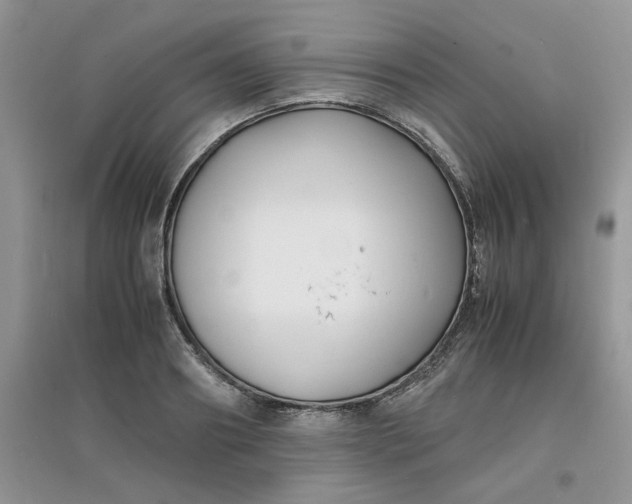 X0000097620890200803141959