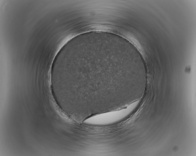 X0000097620891200803141959