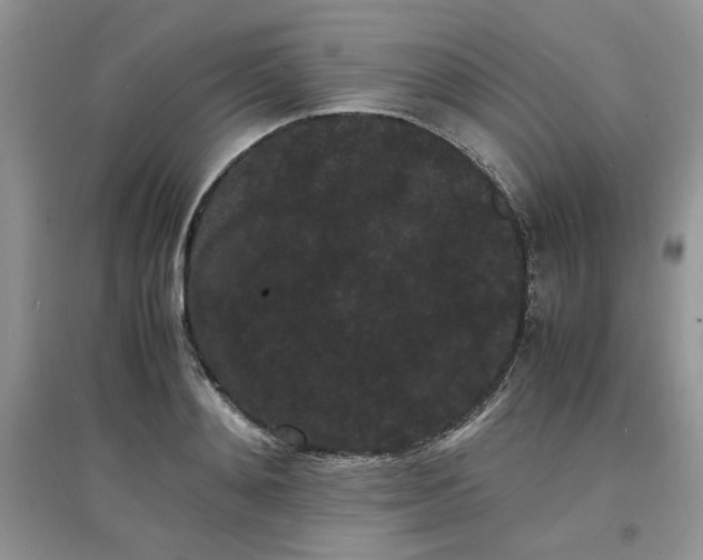 X0000097620892200803141959