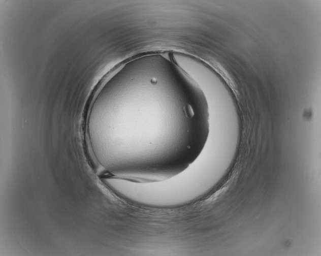 X0000097620893200803141959