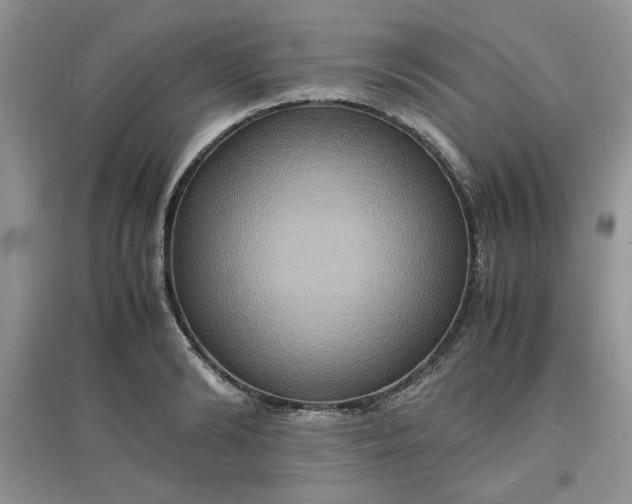 X0000097620894200803141959