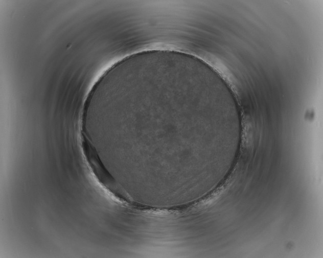 X0000097620896200803141959
