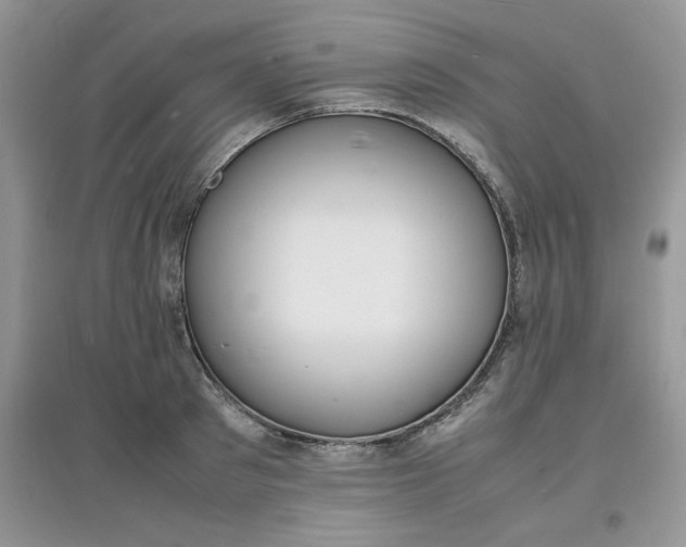 X0000097620897200803141959