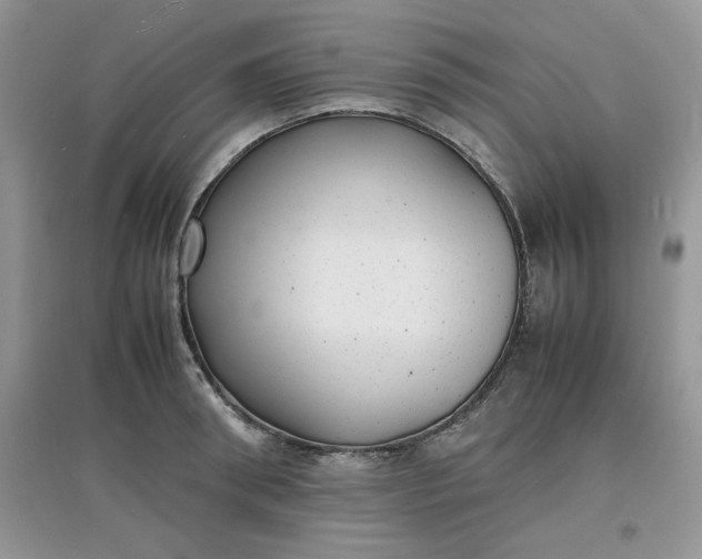 X0000097620898200803141959
