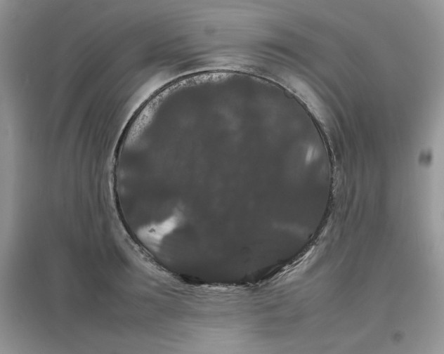 X0000097620899200803141959