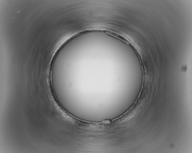 X0000097620901200803141959