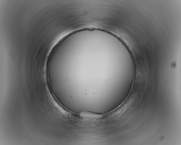 X0000097620902200803141959