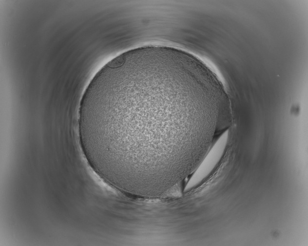 X0000097620903200803141959