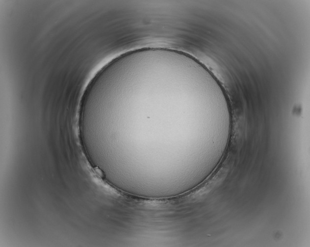 X0000097620904200803141959