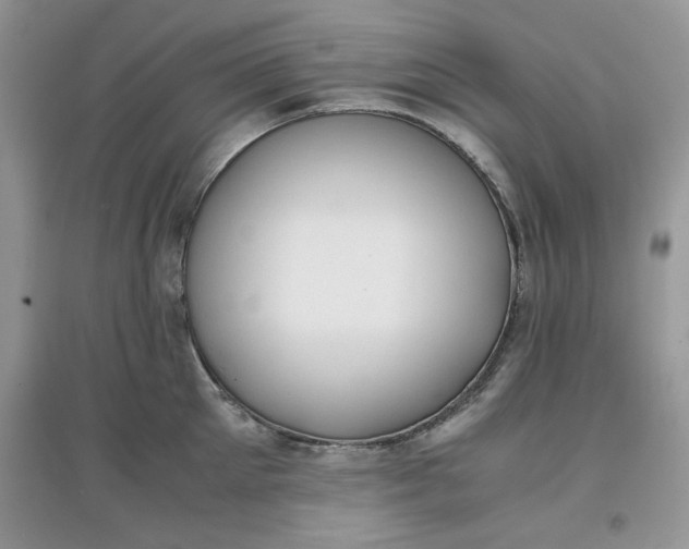 X0000097620905200803141959