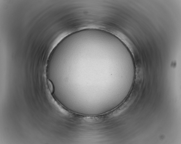 X0000097620906200803141959