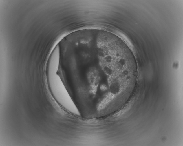 X0000097620907200803141959
