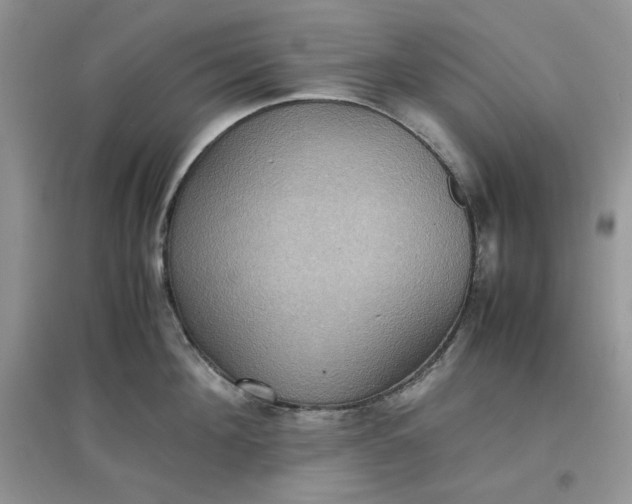 X0000097620908200803141959