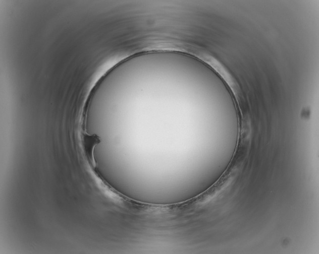 X0000097620909200803141959