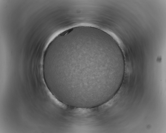 X0000097620910200803141959