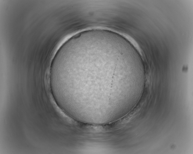 X0000097620911200803141959