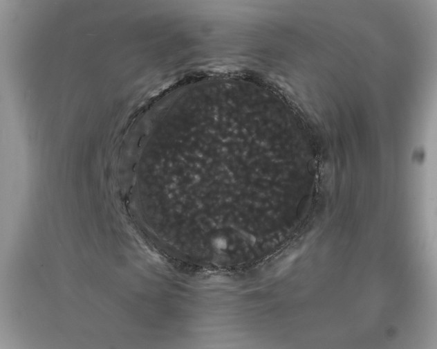 X0000097620913200803141958
