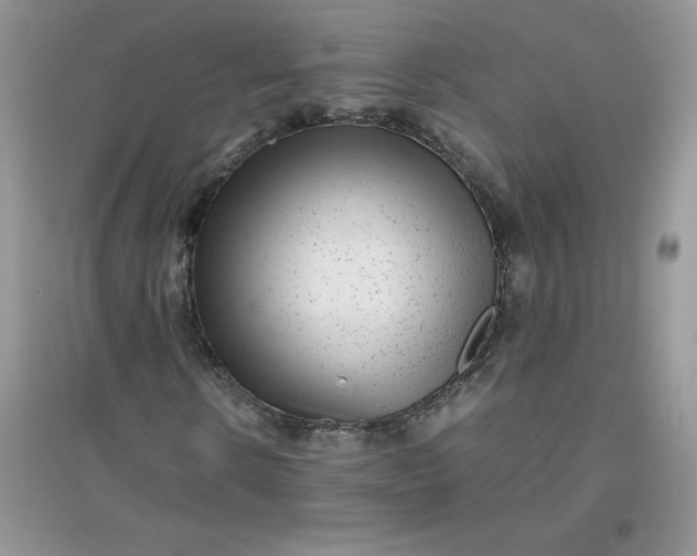 X0000097620914200803141958