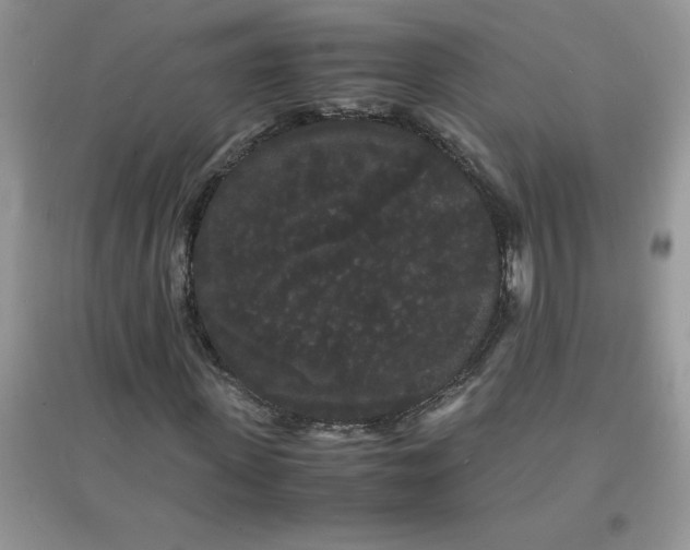 X0000097620915200803141958