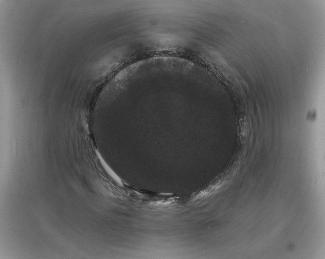 X0000097620916200803141958