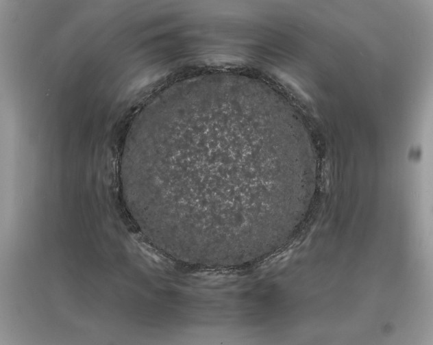 X0000097620917200803141958