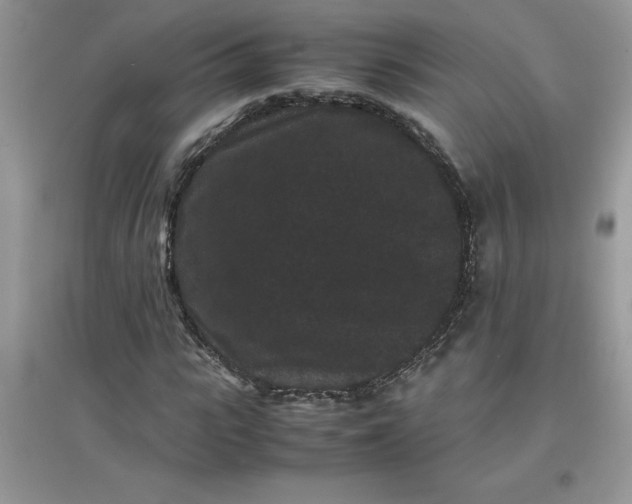 X0000097620919200803141958