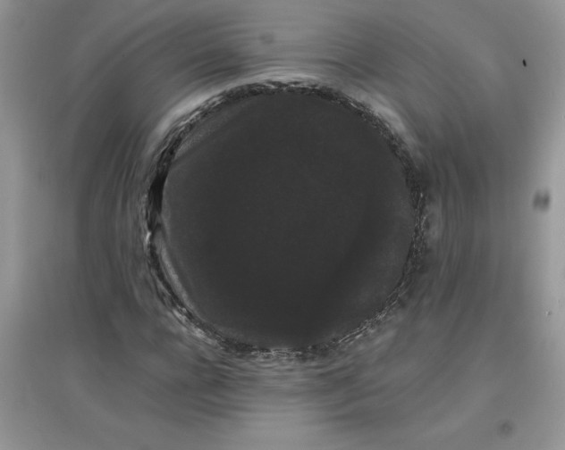 X0000097620920200803141958