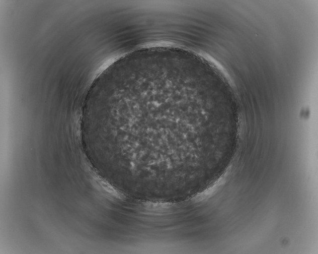 X0000097620921200803141958