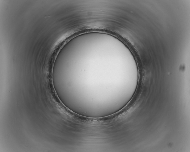 X0000097620922200803141959