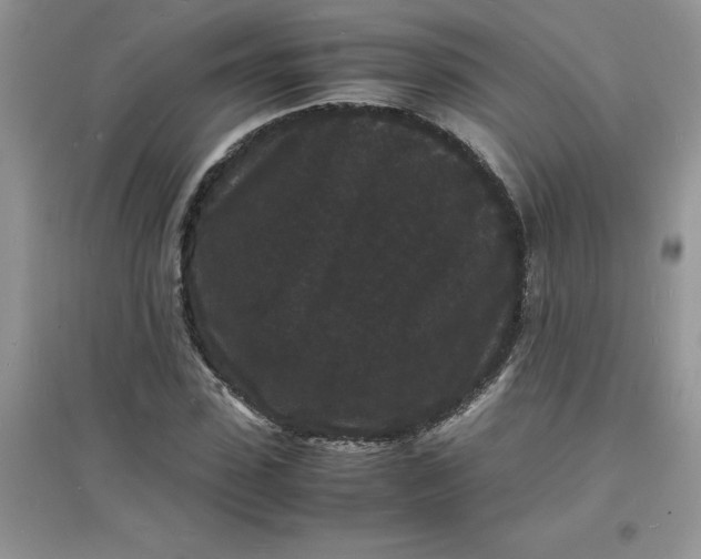 X0000097620923200803141959